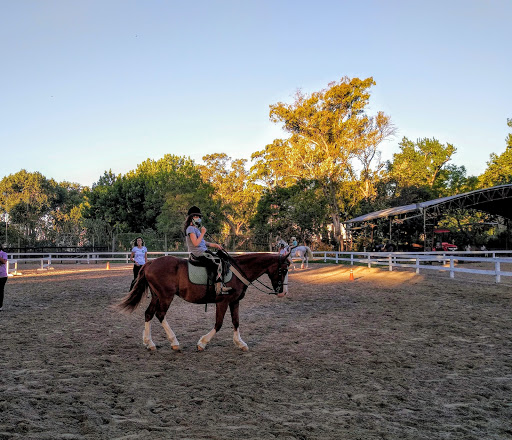 Horse riding lessons Buenos Aires
