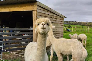 Alpaca Lodge image