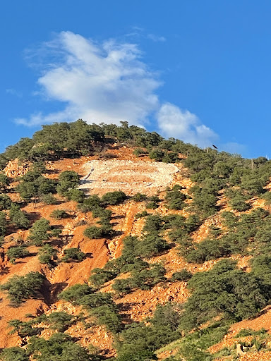 Coffee Shop «Bisbee Coffee Company», reviews and photos, 2 Main St, Bisbee, AZ 85603, USA