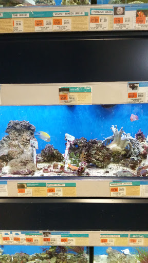 Pet Supply Store «Petco Animal Supplies», reviews and photos, 163 Highland Ave, Needham, MA 02494, USA