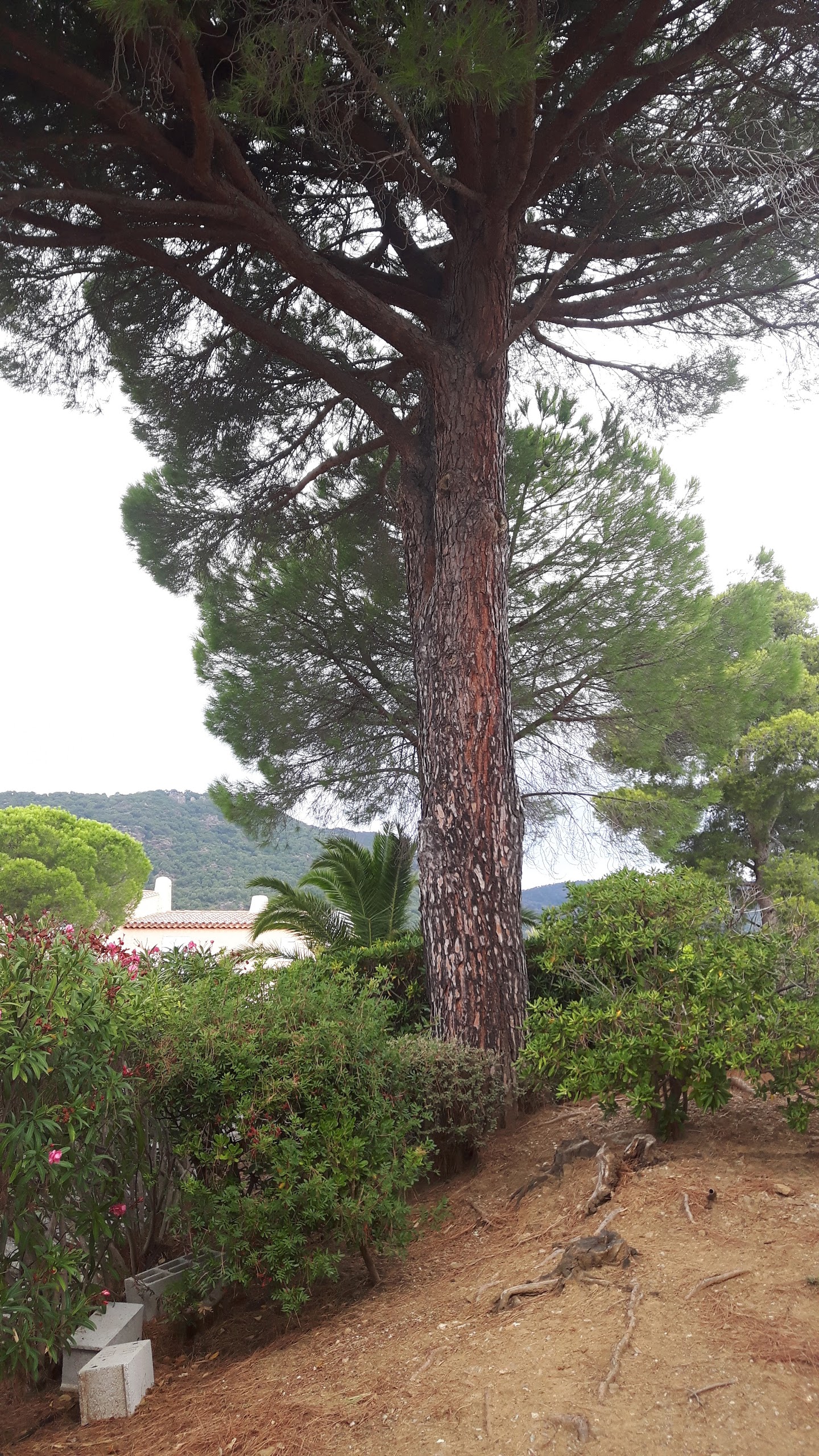 Photo n° 2 de l'avis de Ria.n fait le 24/09/2017 à 16:23