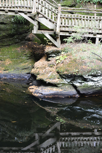 Pet Store «Abrams and Weakley General Store for Animals», reviews and photos, 3963 N 6th St, Harrisburg, PA 17110, USA