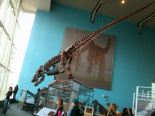 Imax Theater «IMAX at the Maryland Science Center», reviews and photos, 601 Light St, Baltimore, MD 21230, USA