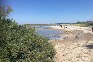 Torre Guaceto Marine Protected Area image