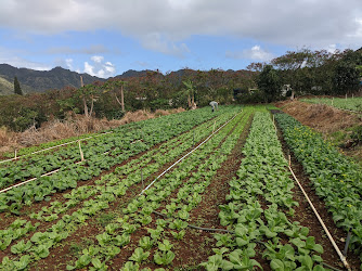 Otsuji Farm