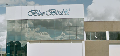 Utilidades Sara Importação e Exportação Ltda ME - Blue Bird