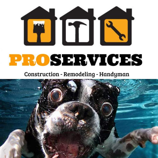 Pro Services in Proctorville, Ohio