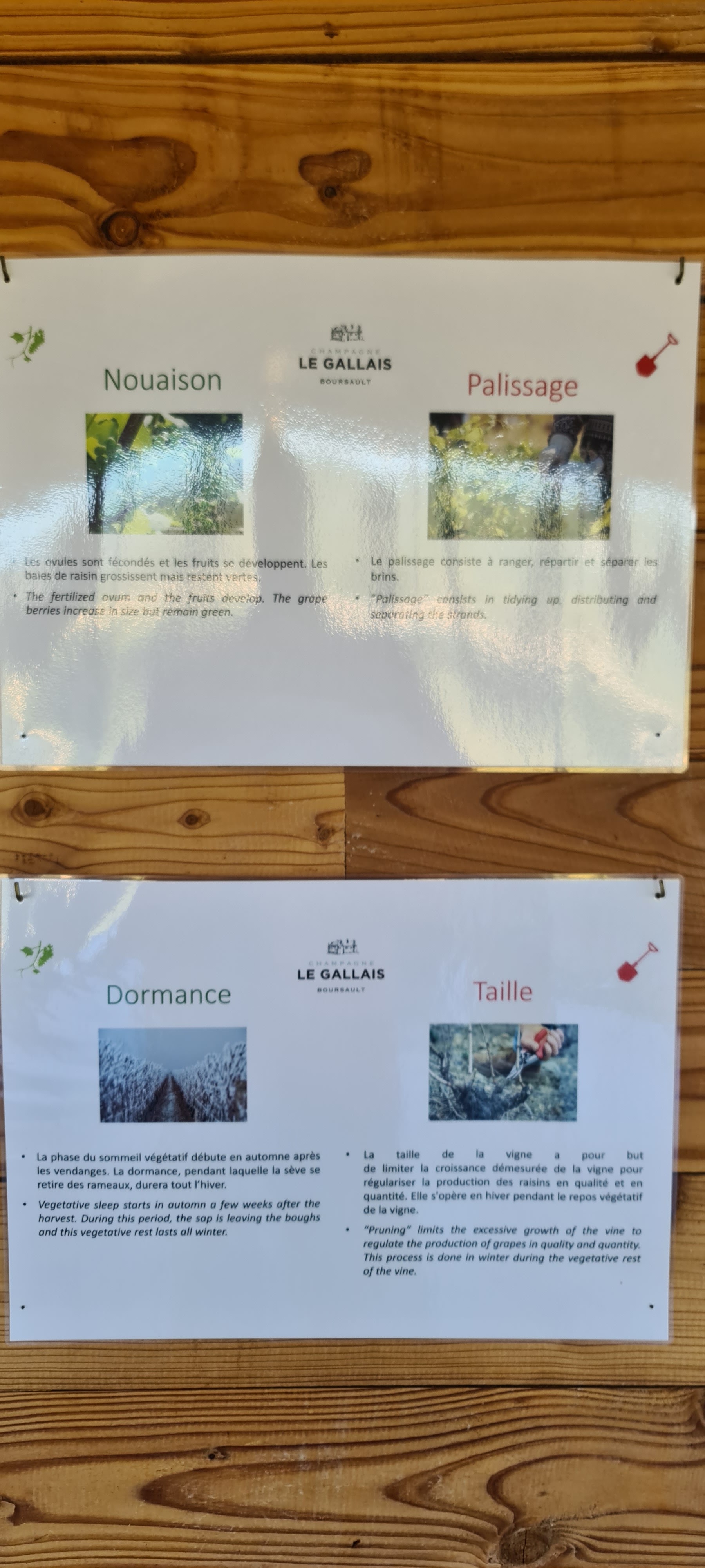 Photo n° 26 de l'avis de V... fait le 04/10/2022 à 16:31