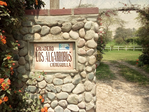 Criadero Los Algarrobos Cieneguilla