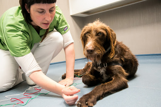Clínica Veterinaria Ruiz y Menta en Calahorra