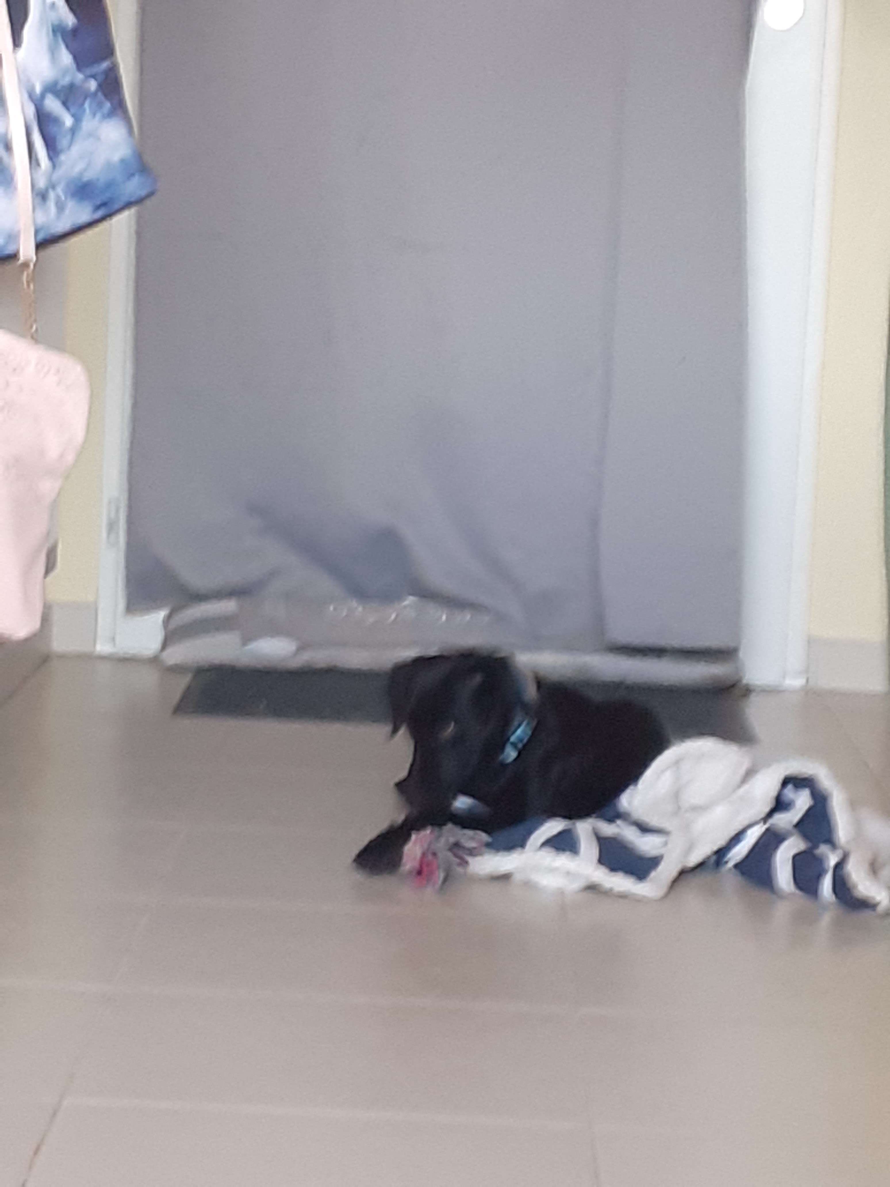 Photo n° 4 de l'avis de Remy.E fait le 23/10/2021 à 18:34