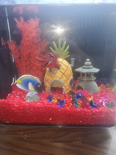 Pet Supply Store «Petco Animal Supplies», reviews and photos, 244 Pioneer Trail, Chaska, MN 55318, USA