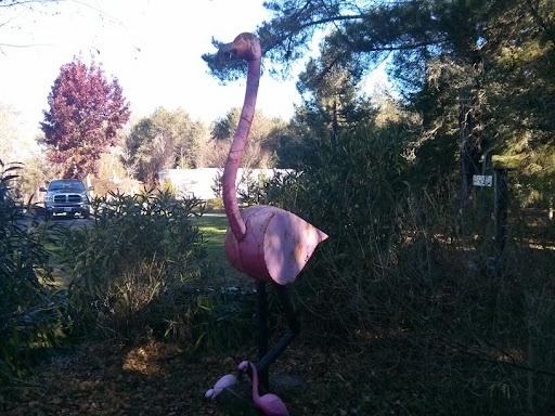 Gift Shop «Rose & Thorn», reviews and photos, 10050 Bodega Hwy, Sebastopol, CA 95472, USA