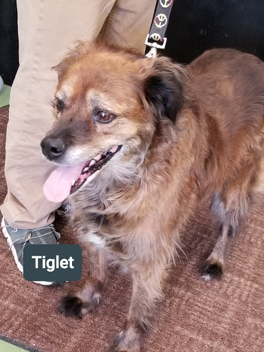 Pet Supply Store «Animal Krackers Inc», reviews and photos, 232 Main St, Gloucester, MA 01930, USA