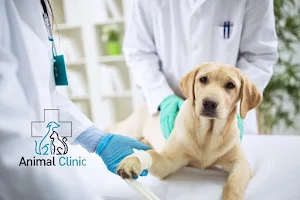 Ветеринарна клініка Animal Clinic image