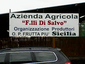 Azienda Agricola F.lli Di Salvo