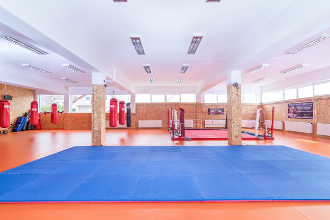 A91 Gym - Egészség, Fitness és Küzdősport Centrum - Pilisvörösvár