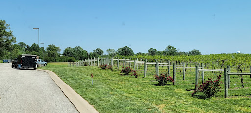 Winery «Chateau de Pique Winery», reviews and photos, 6361 N County Rd 760 E, Seymour, IN 47274, USA