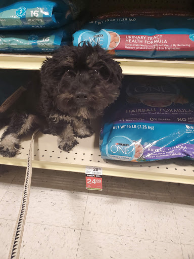 Pet Supply Store «PetSmart», reviews and photos, 15042 Summit Ave, Fontana, CA 92336, USA