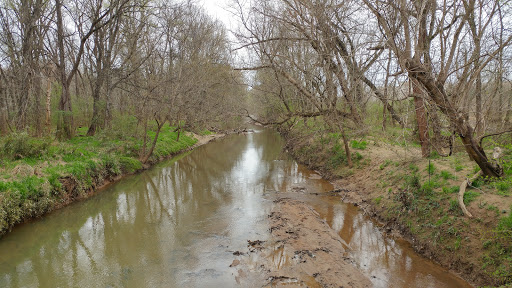 Lower McAlpine Creek Greenway