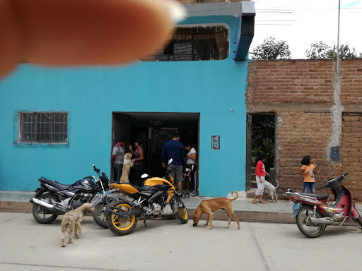 Hospital veterinario Huánuco