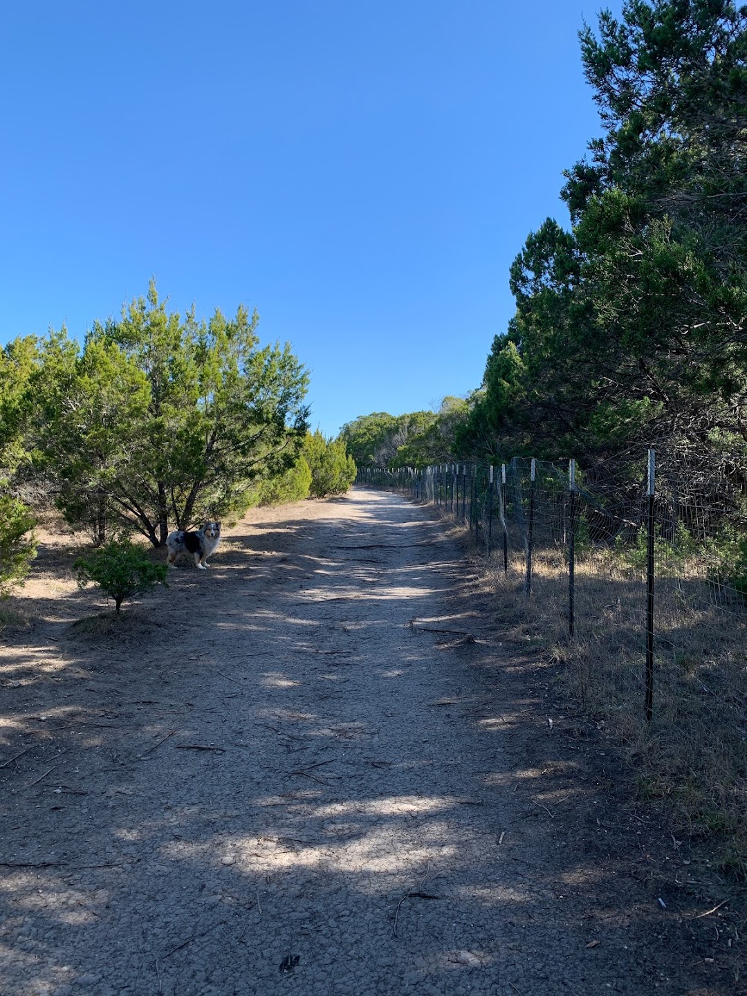 Mary Moore Searight Off Leash Trail