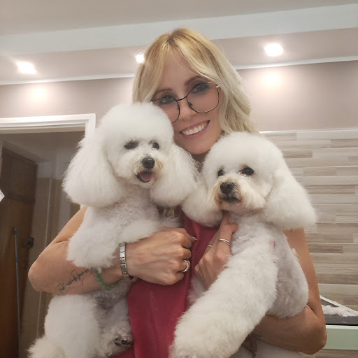 Pensioni per cani e dog hotel a Vs Grooming Art