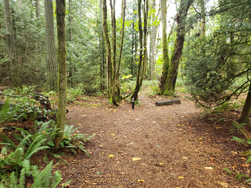 Nature Preserve «Illahee Preserve», reviews and photos, 3200 NE Riddell Rd, Bremerton, WA 98310, USA