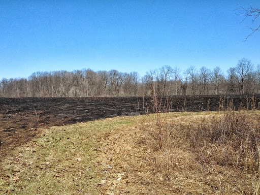 Nature Preserve «Leonard Preserve», reviews and photos, N Union St, Manchester, MI 48158, USA