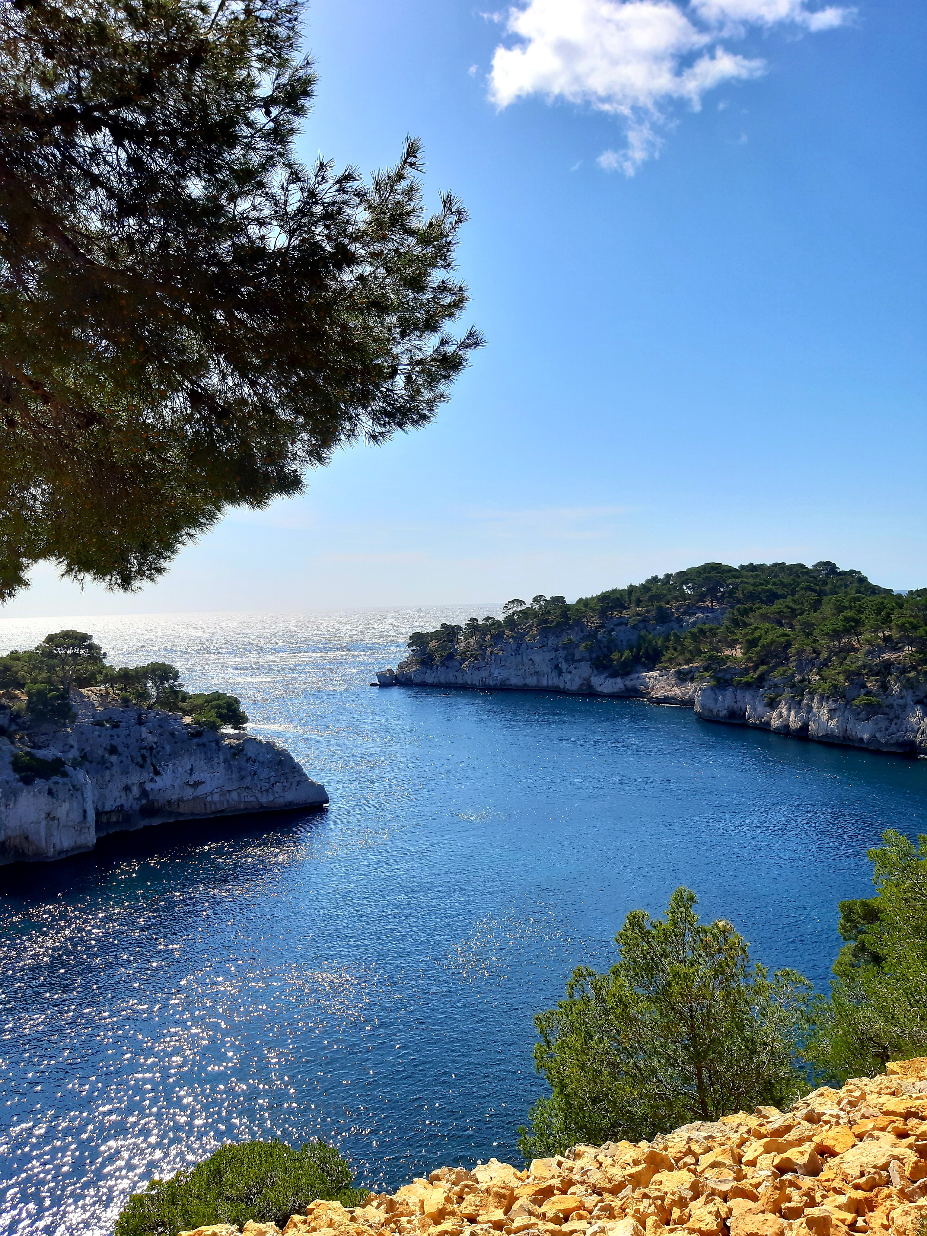 Photo n° 12 de l'avis de Islas.a fait le 27/03/2021 à 17:41