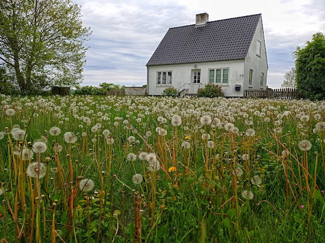 Barsøhuset - Restaurant