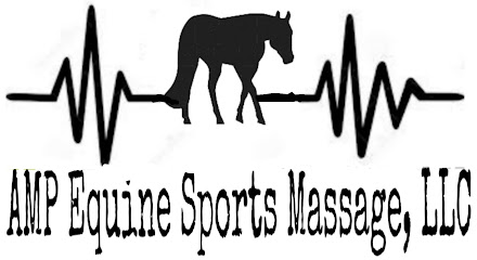 AMP Equine Sports Massage, LLC