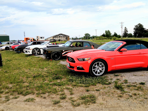 Drive-in Movie Theater «Blue Grass Drive-In Theater», reviews and photos, 774 W Mayne St, Blue Grass, IA 52726, USA