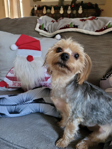 Pet Supply Store «Petco Animal Supplies», reviews and photos, 5236 TX-360, Grand Prairie, TX 75052, USA