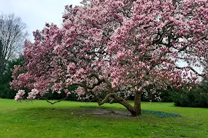 Bochum Park image