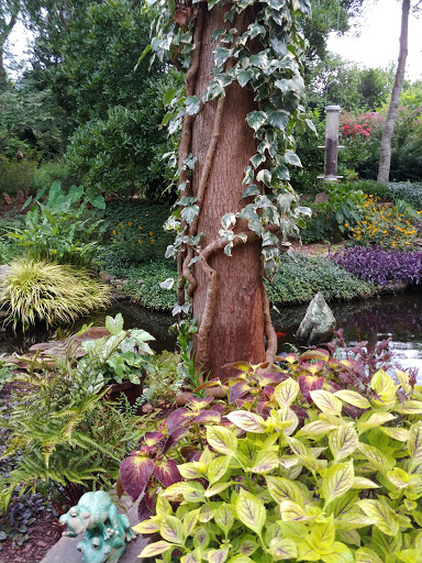 Pet Supply Store «PetSmart», reviews and photos, 625 W Crossville Rd, Roswell, GA 30075, USA