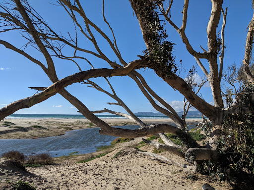 Golf Course «Pismo Beach Golf Course», reviews and photos, 25 W Grand Ave, Grover Beach, CA 93433, USA