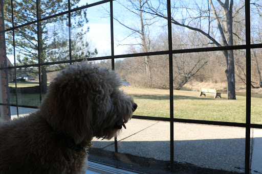 Auto Insurance Agency «Mike Bashore - State Farm Insurance Agent», reviews and photos