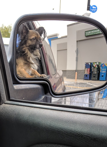 Shopping Mall «Village Green Shopping Center», reviews and photos, 7001 Alexandria Pike, Alexandria, KY 41001, USA