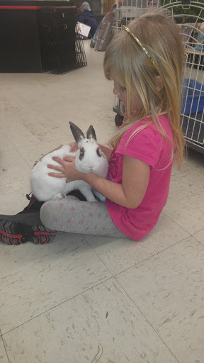 Pet Store «Critter Mart & More», reviews and photos, 3 10th St NW, Watertown, SD 57201, USA