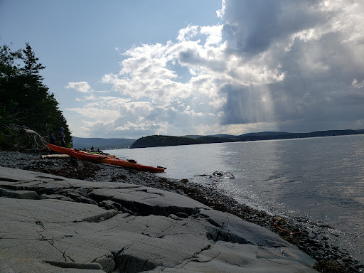 Tourist Information Center «Coastal Kayaking Tours Inc», reviews and photos, 48 Cottage St, Bar Harbor, ME 04609, USA