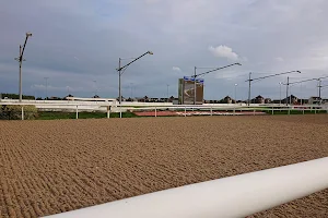 Dundalk Stadium image