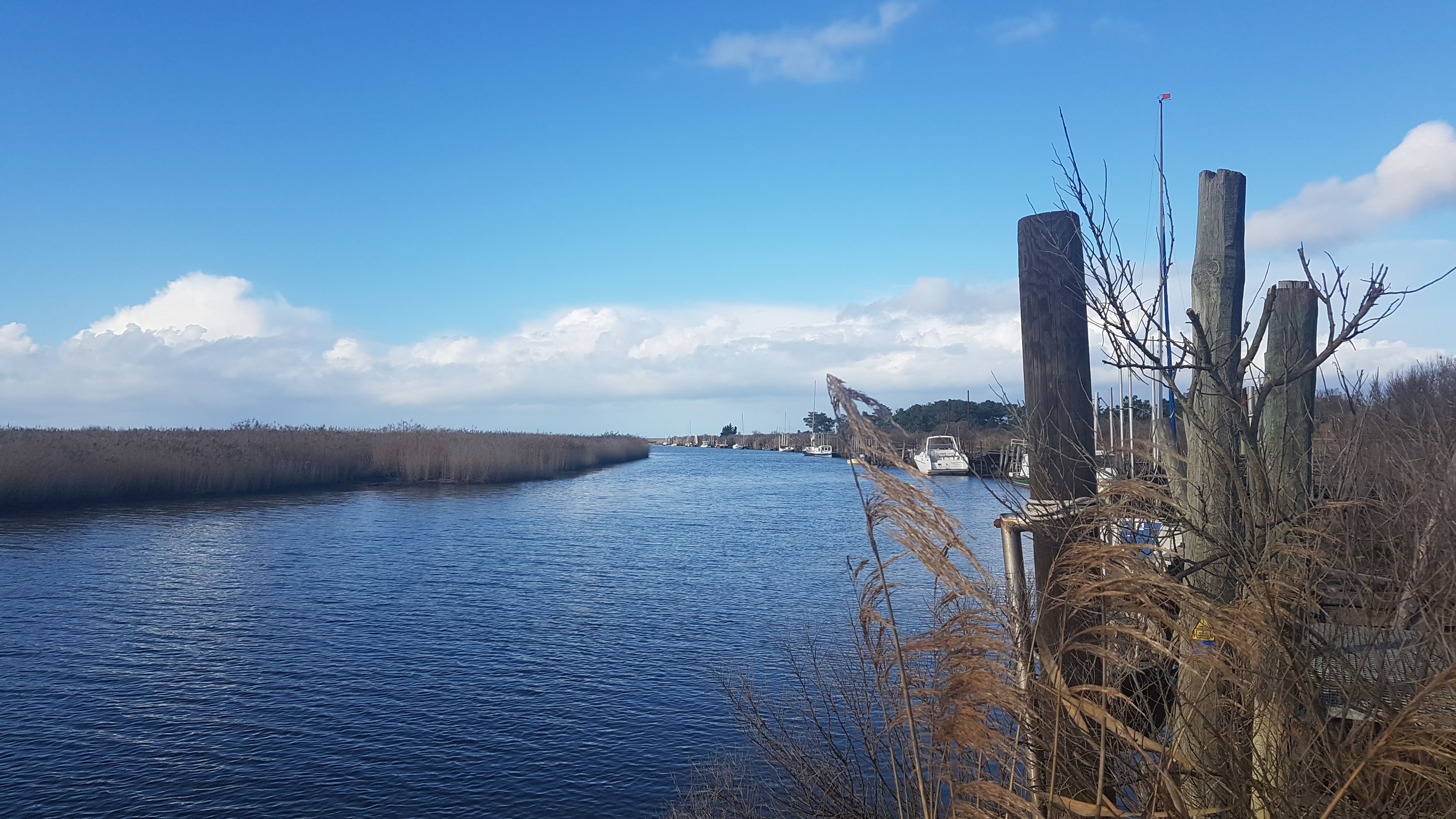 Photo n° 9 de l'avis de Elisabeth.o fait le 17/01/2019 à 18:17