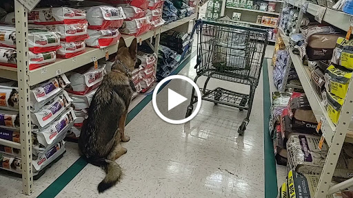 Farm Equipment Supplier «Family Farm & Home», reviews and photos, 66875 Gratiot Ave, Richmond, MI 48062, USA