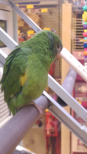 Pet Supply Store «PetSmart», reviews and photos, 13337 Worth Ave, Woodbridge, VA 22192, USA