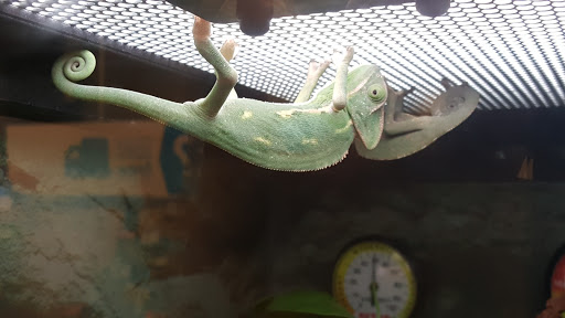 Pet Supply Store «Petco Animal Supplies», reviews and photos, 911 N Stratford Rd c, Moses Lake, WA 98837, USA