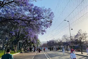 Abha Walkway Fountain image