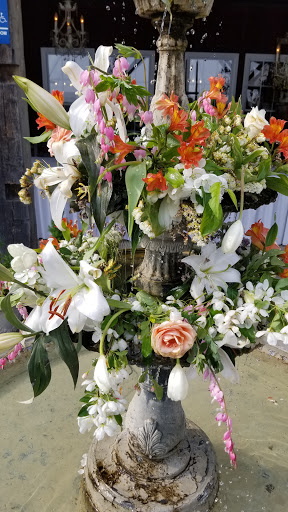 Garden Center «Southern Exposure», reviews and photos, 11269-N Dr North, Battle Creek, MI 49015, USA