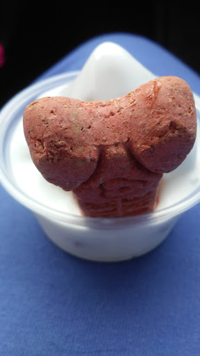 Ice Cream Shop «Twistee Treat Pinellas Park», reviews and photos, 4556 Mainlands Blvd W, Pinellas Park, FL 33782, USA