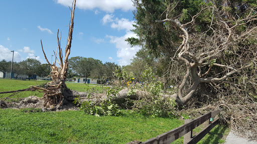 Park «Norwood Park», reviews and photos, 19401 NW 14th Ave, Miami, FL 33169, USA